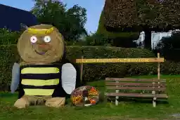 'Biene aus Stroh' in a higher resolution